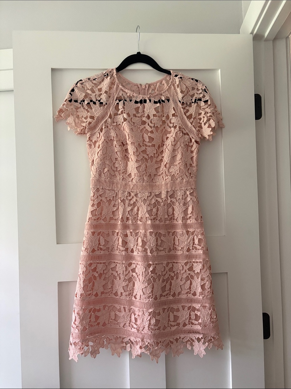 Eliza J Rose Pink Lace Fit-and-Flare Mini Dress